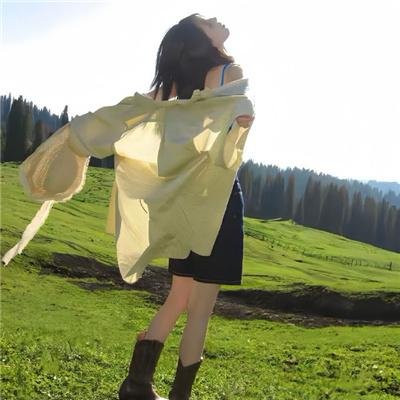大内密探灵灵狗